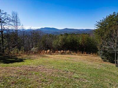Morganton, GA 30560,Lot 13 High Meadow Trail