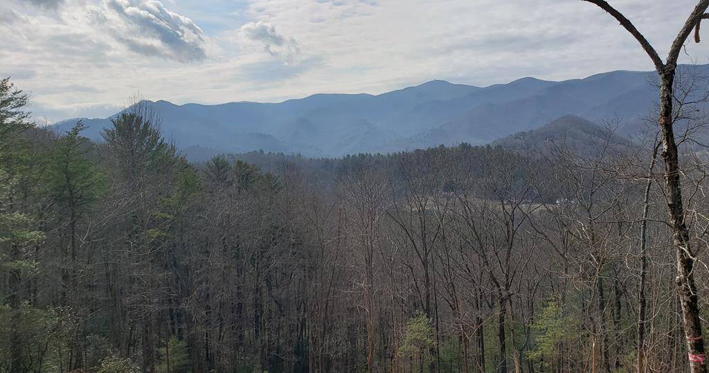 Hiawassee, GA 30546,LT17 Mill Ridge Road