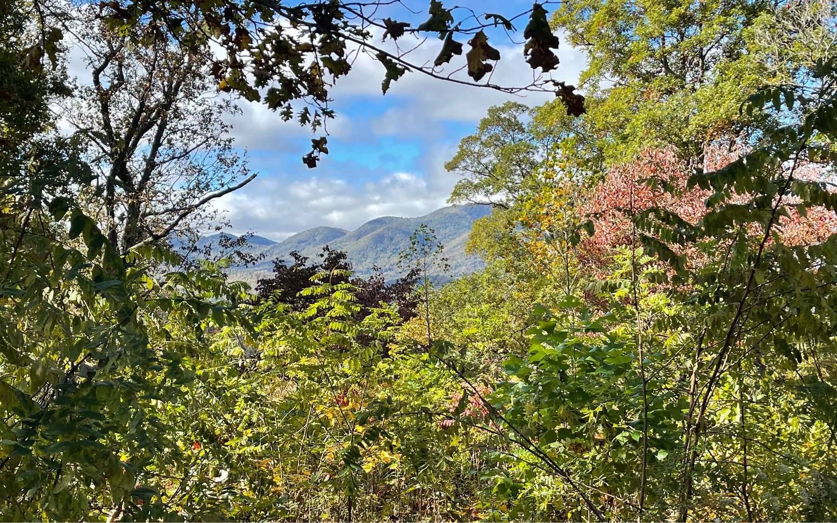 Young Harris, GA 30582,LT 18 Harris Ridge Road