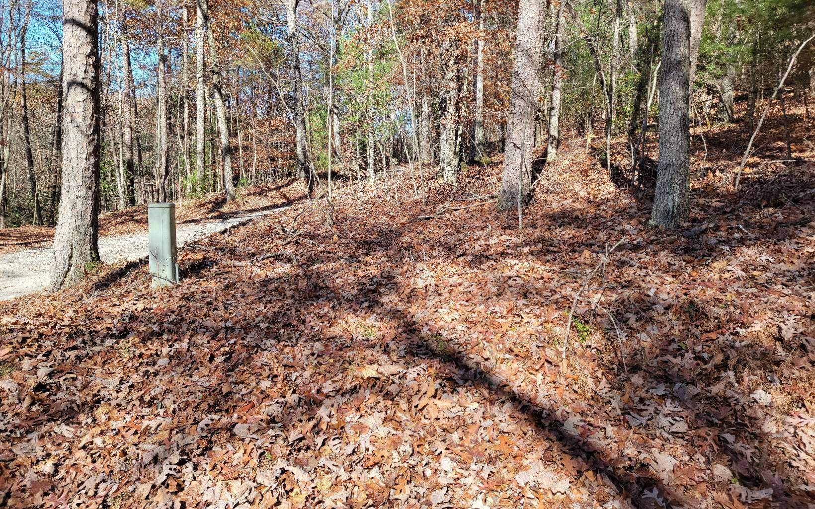 Suches, GA 30572,1 A. Buck Ridge Road