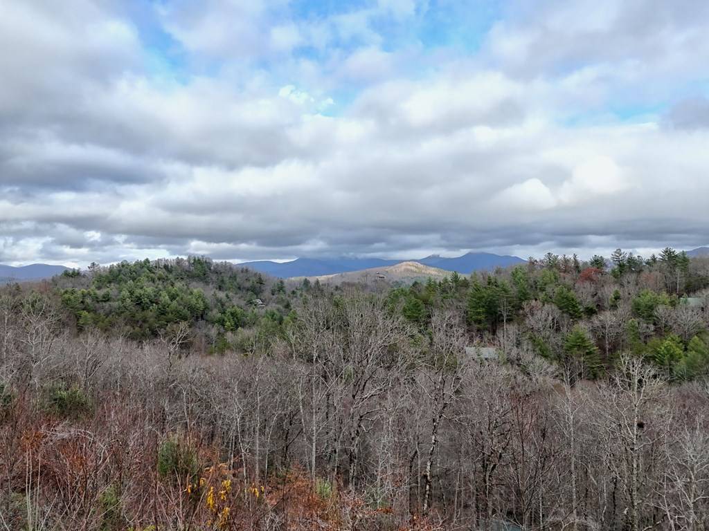 Blairsville, GA 30512,116 Souther Ridge Conn