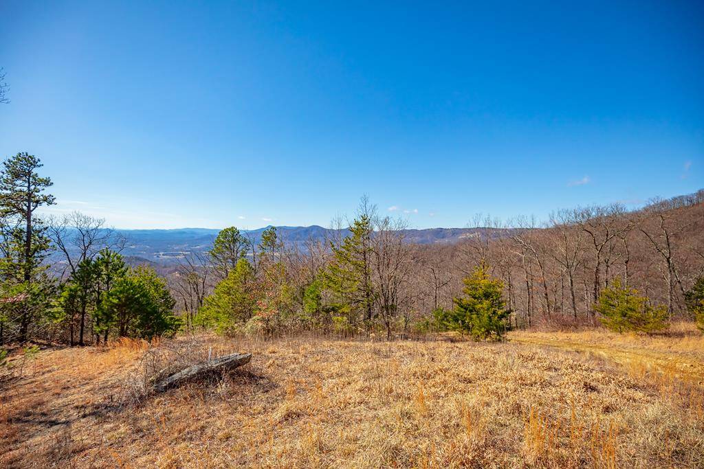 Fancy Gap, VA 24328,65 Acres Spring Pond Trl