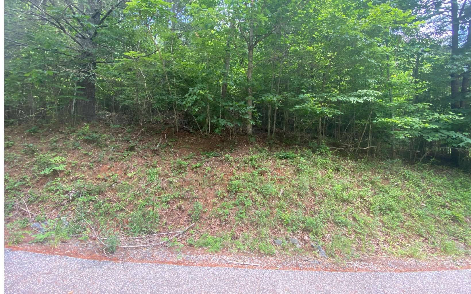 Murphy, NC 28903,LOT60 Choctaw Ridge Trail