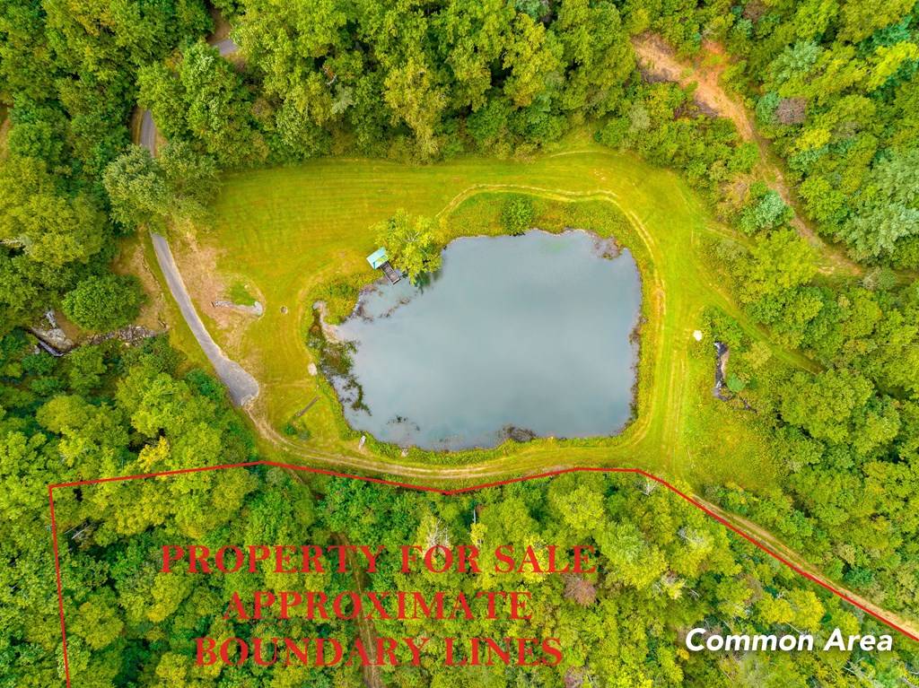 Fancy Gap, VA 24328,4.6 Acre Old Pond Trl