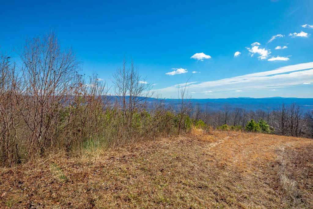 Fancy Gap, VA 24328,8.3 Acre Spring Pond Trl