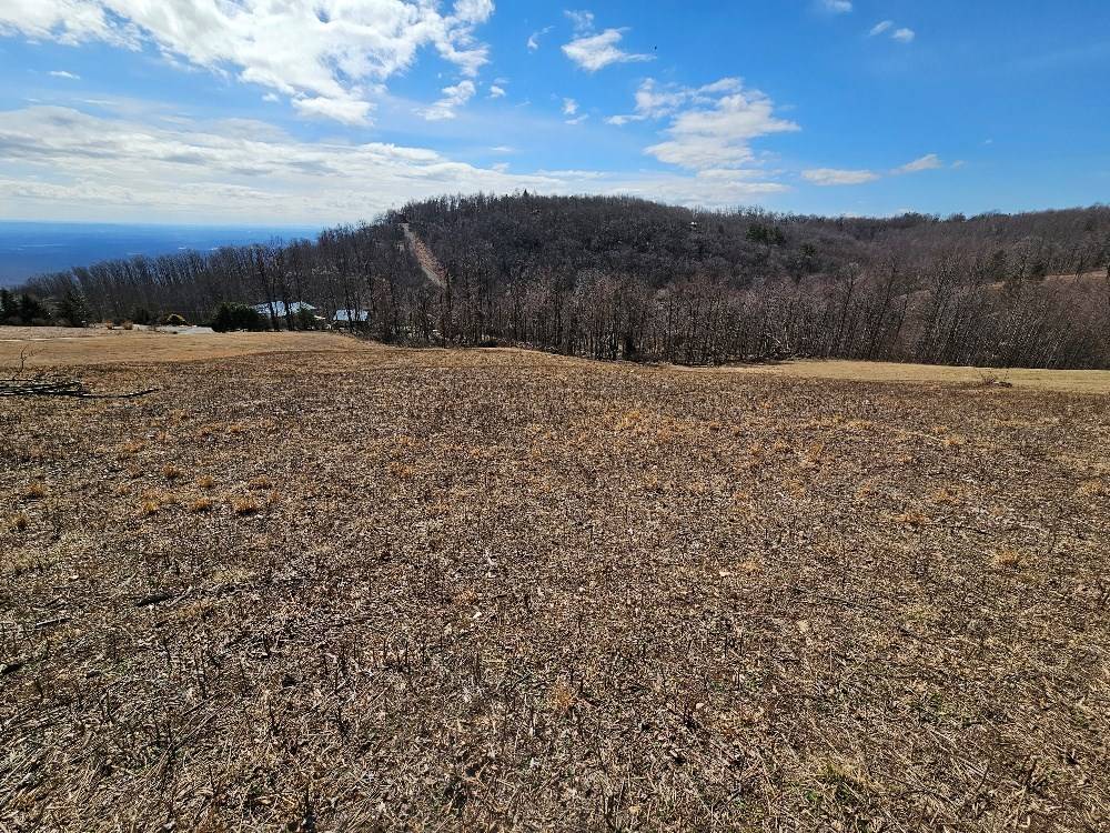 Fancy Gap, VA 24328,Lot#2 Cabin Ridge Trail