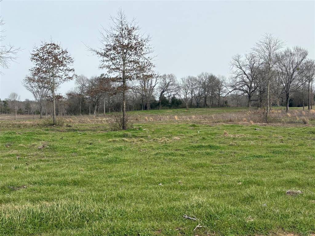 Como, TX 75431,TBD County Road 2425 #Tract #2