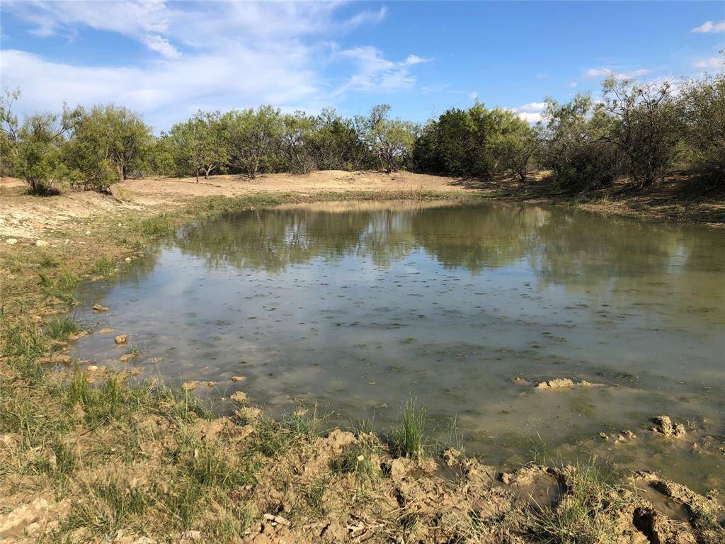 Brookesmith, TX 76827,11501 CR 186