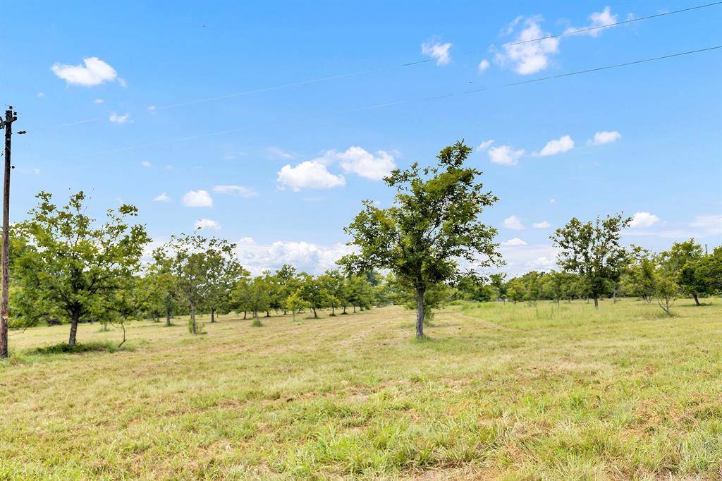 Athens, TX 75752,7397 FM-1803 Road