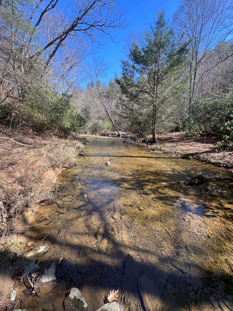 Austinville, VA 24312,TBD Pine Grove Road