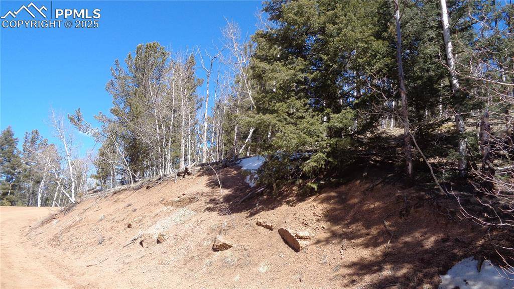 Cripple Creek, CO 80813,847 Little Topsey DR