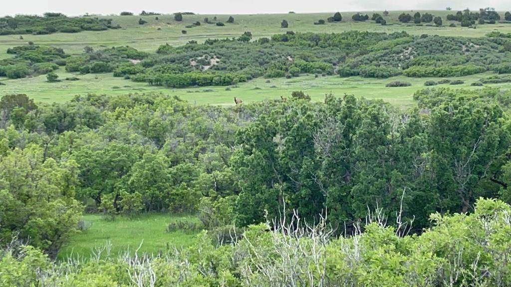 Colorado City, CO 81019,0 Big Bend