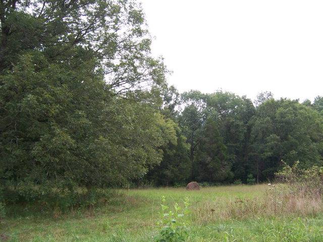 Abingdon, VA 24211,0 LAKE POINTE DRIVE, LOT 9