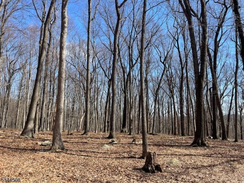 Mendham Twp., NJ 07945,7 Calais Rd