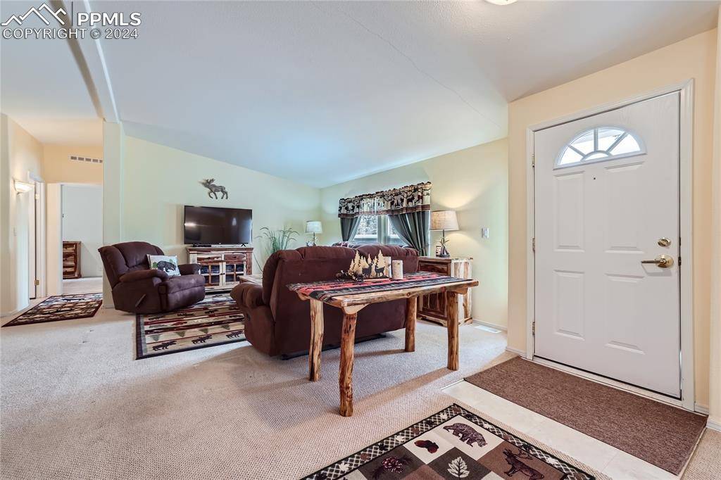 Florissant, CO 80816,145 Wildcat Creek DR