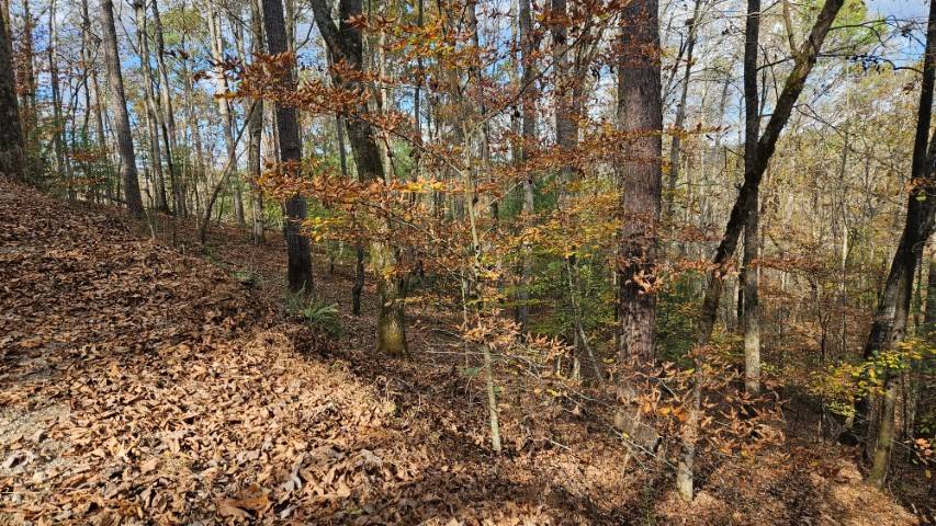 Ellijay, GA 30540,Lot 266 Catawba Circle