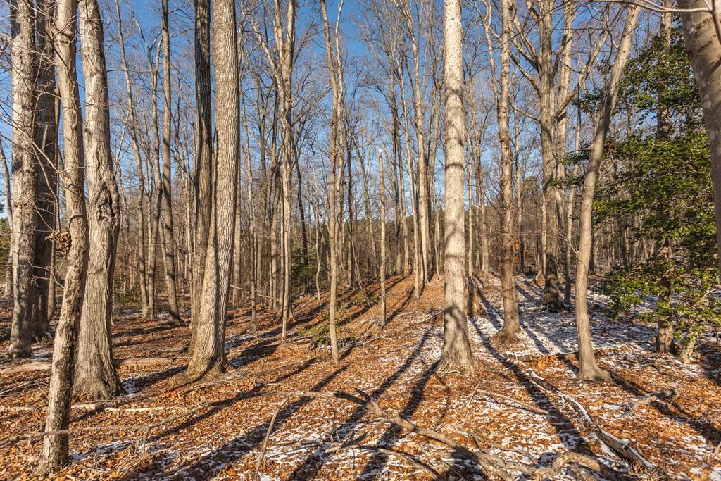 Clarksville, VA 23927,6.31 AC Ivy Hill Road