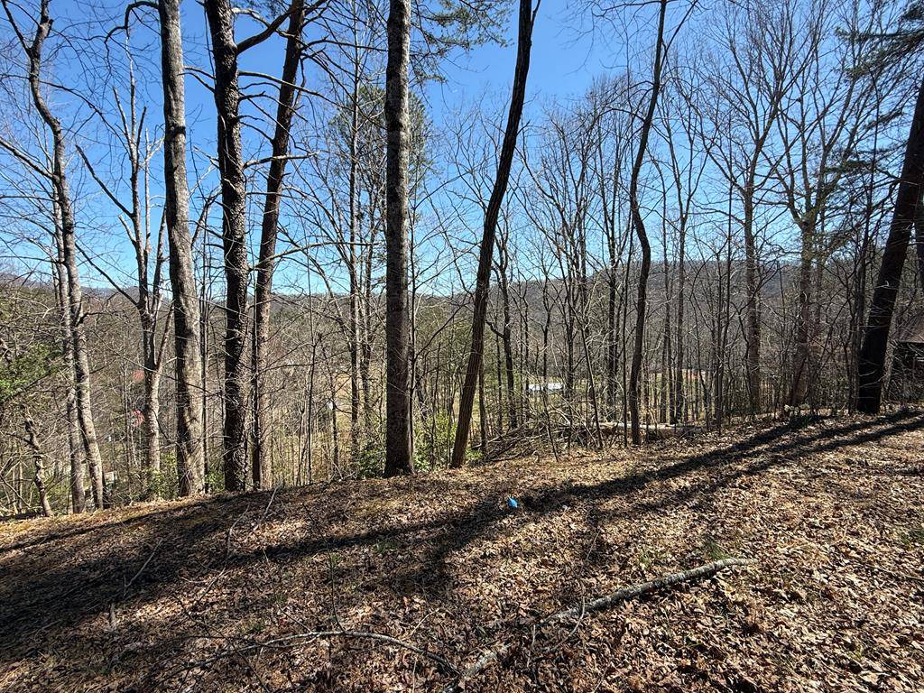 Hiawassee, GA 30546,1035 Sky Hawk Mountain Drive