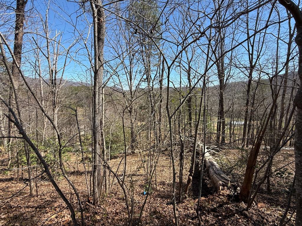 Hiawassee, GA 30546,1035 Sky Hawk Mountain Drive