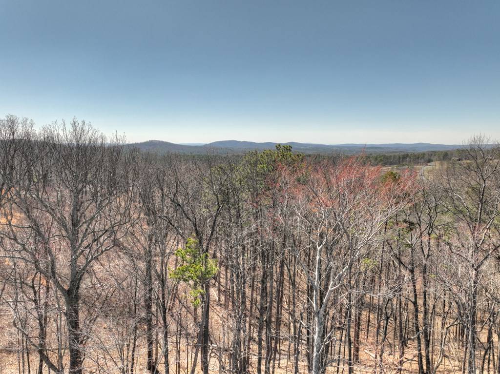 Talking Rock, GA 30540,Lot 280 Highgrove Drive