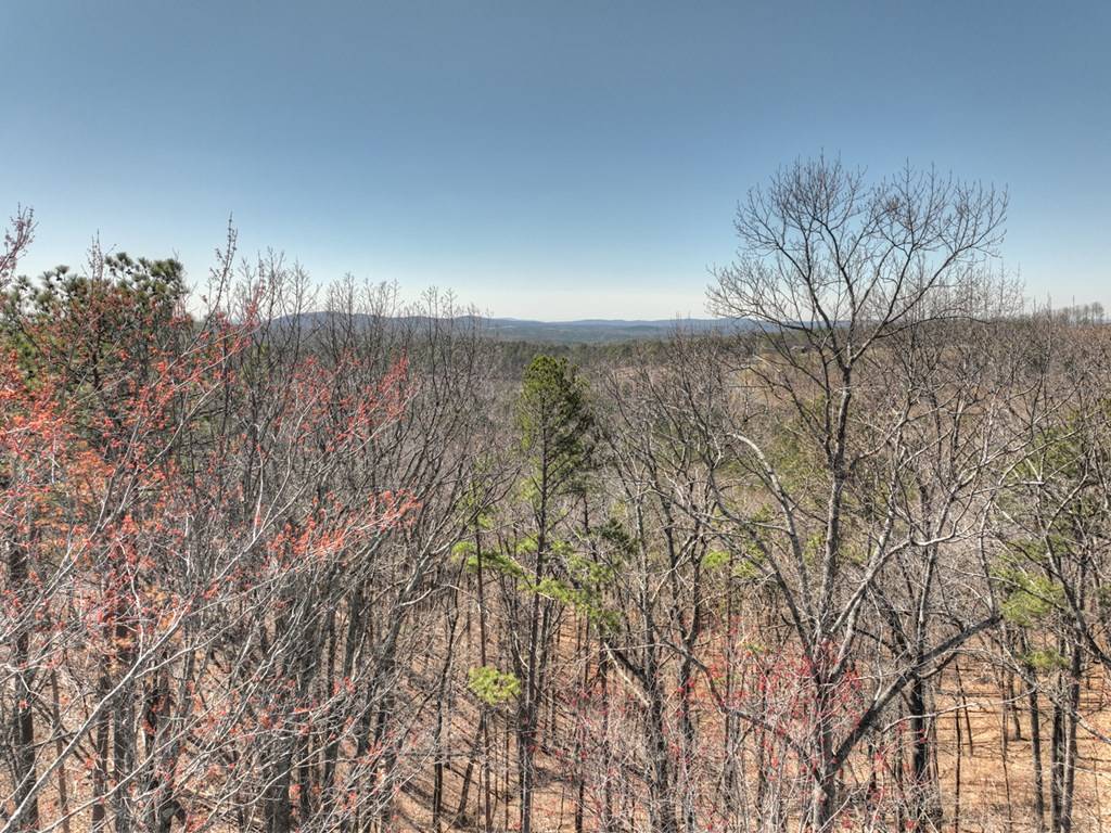 Talking Rock, GA 30540,Lot 280 Highgrove Drive