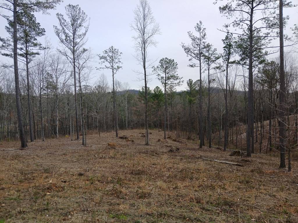 Talking Rock, GA 30175,Lot 337 Timber Creek Trail