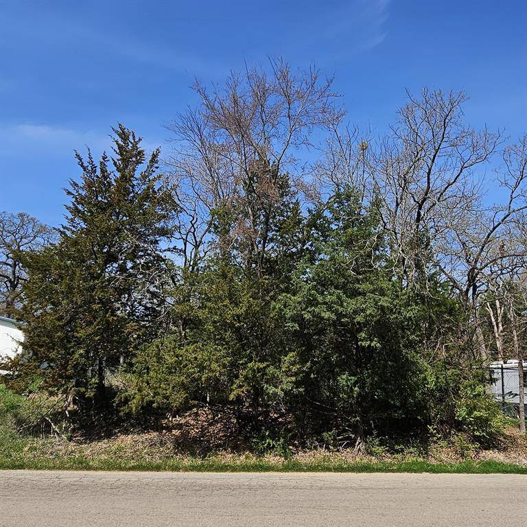 Quinlan, TX 75474,TBD W Lane Street