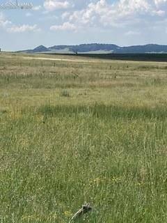 Calhan, CO 80808,Tract 4 Fairplay RD