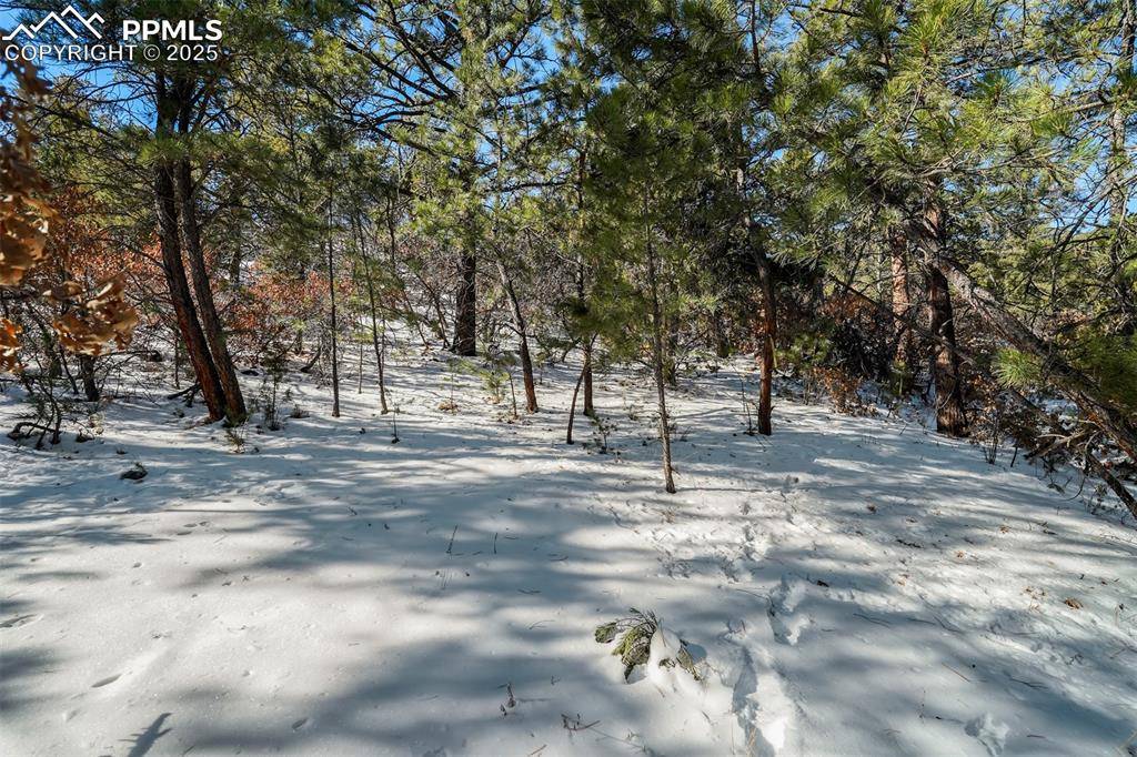 Colorado Springs, CO 80926,16116 Cala Rojo DR