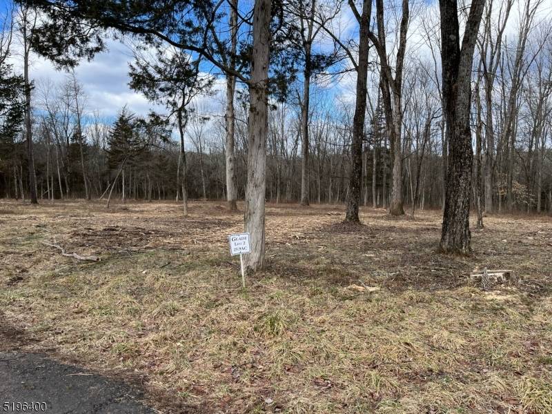 Harding Twp., NJ 07976,29 Twin Oaks Ln