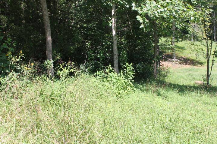Abingdon, VA 24211,TRACT 22 CAPRI AVENUE