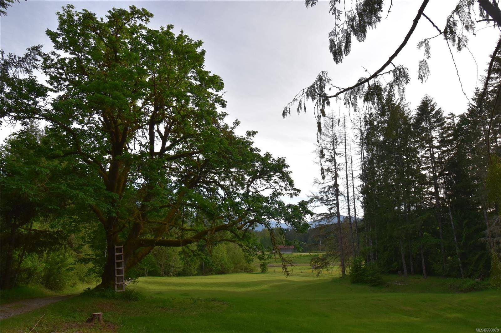 Port Alberni, BC V9Y 8M4,6987 Bainbridge Rd