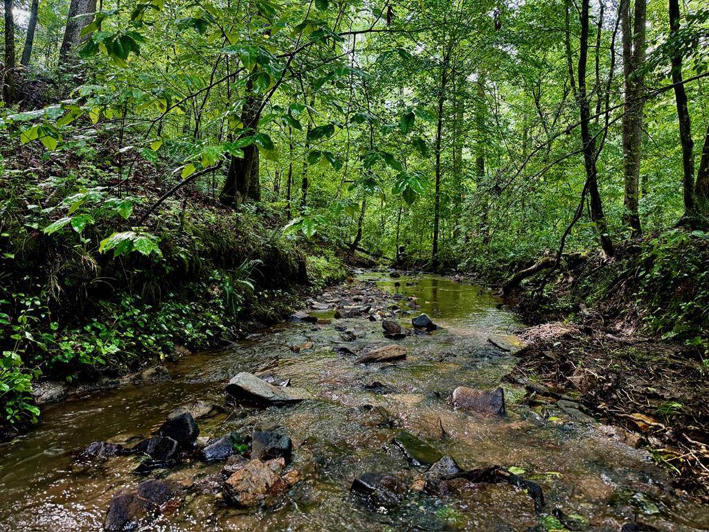 Talking Rock, GA 30175,00000 Hwy 136