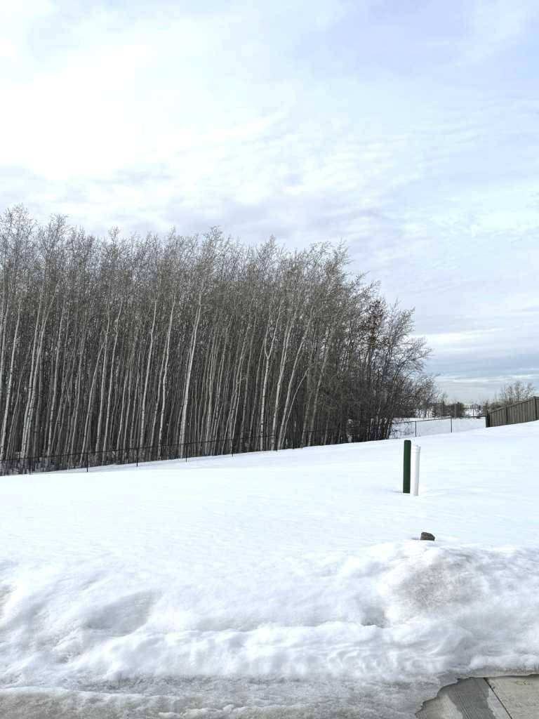 Grande Prairie, AB T8W 0M7,12042 77 AVE