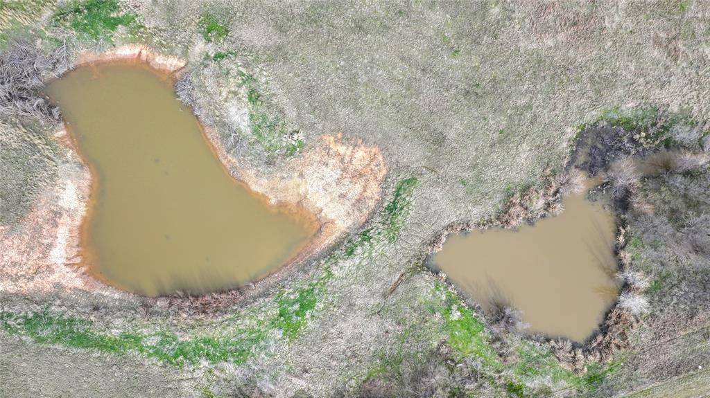 Bowie, TX 76230,46 ACRES HWY 81 & E RC RD