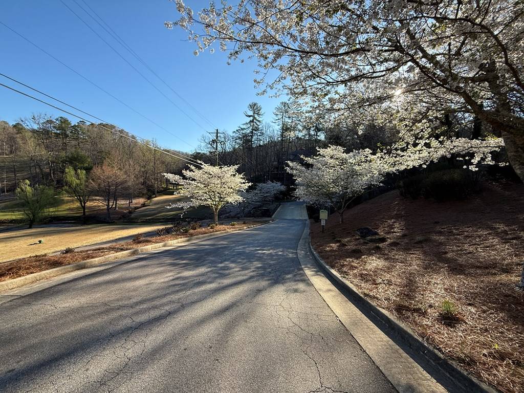 Clayton, GA 30525,Lot 105 Lancelot Loop