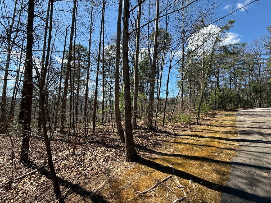Clayton, GA 30525,Lot 105 Lancelot Loop
