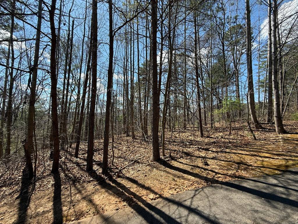 Clayton, GA 30525,Lot 105 Lancelot Loop