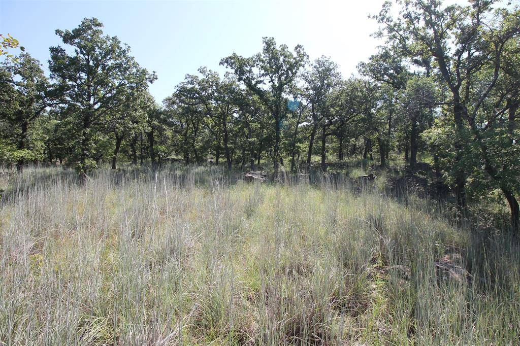 Chico, TX 76431,Lot 265 Ridgeline Drive