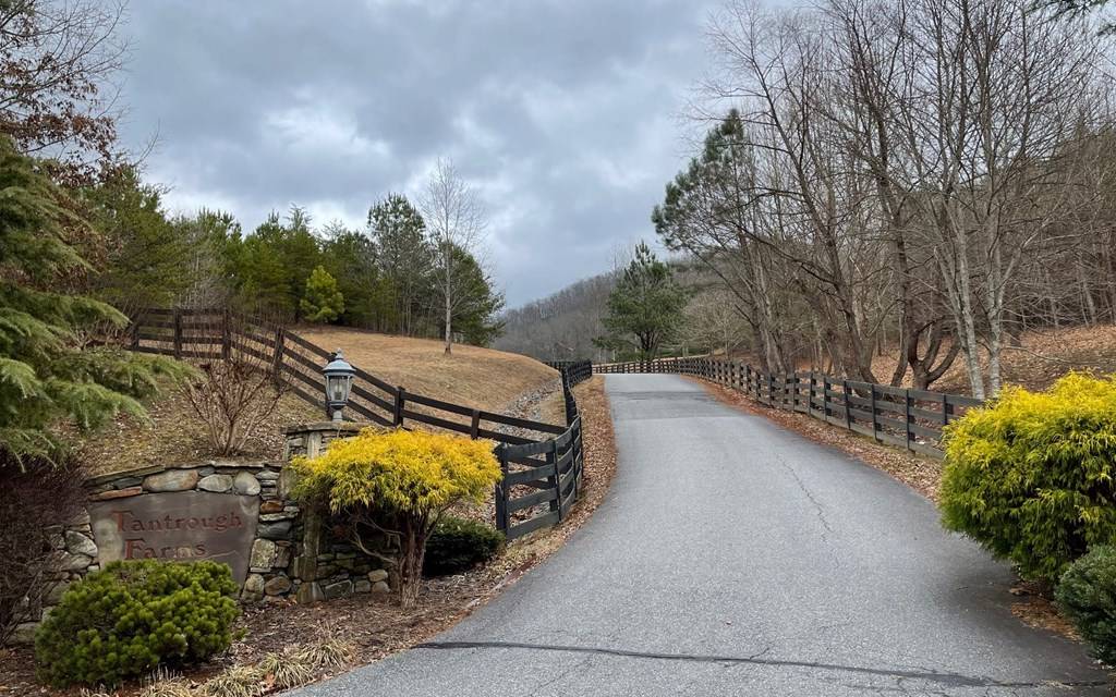 Hiawassee, GA 30546,Lot 6 Tantrough Farms