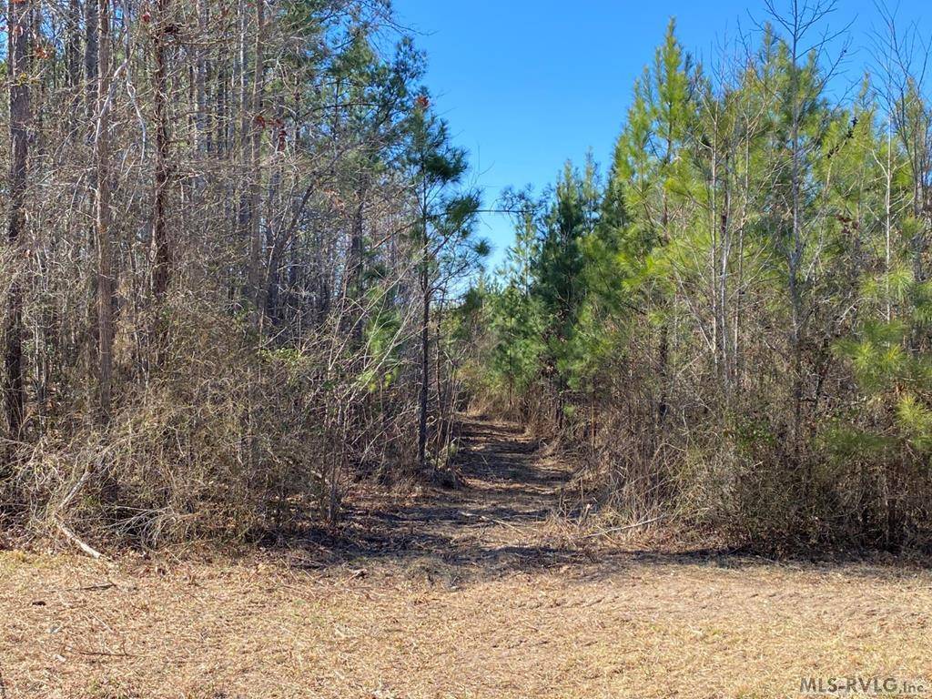 Lawrenceville, VA 23868,Lot# 8 Christanna Hwy