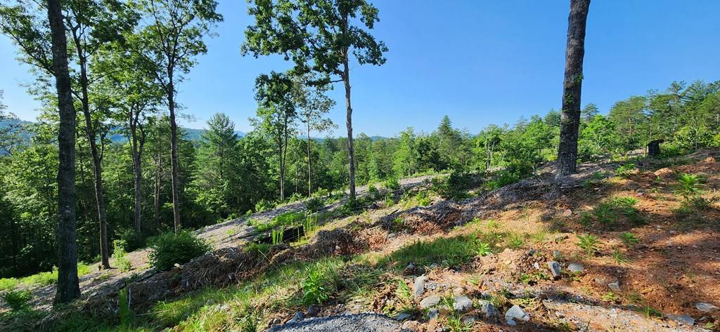 Mineral Bluff, GA 30559,LOT 18 Mountain Laurel Ridge