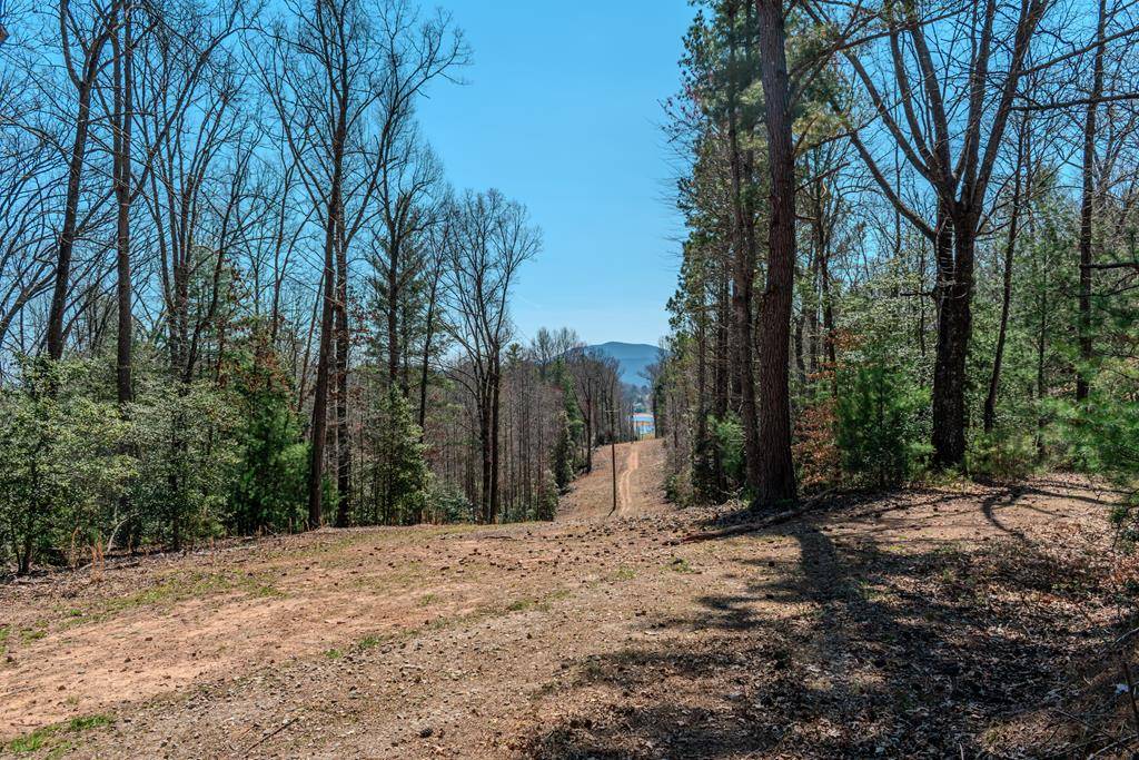 Blairsville, GA 30512,7.07A Eastridge Court