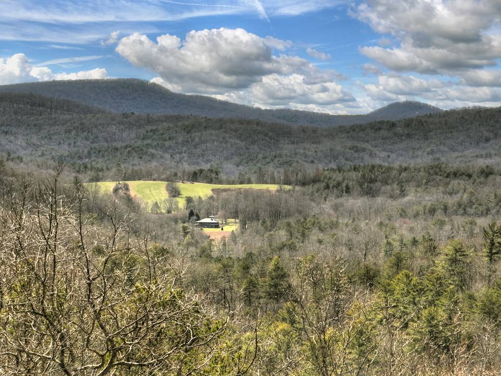 Ellijay, GA 30536,135 Tanager Trail
