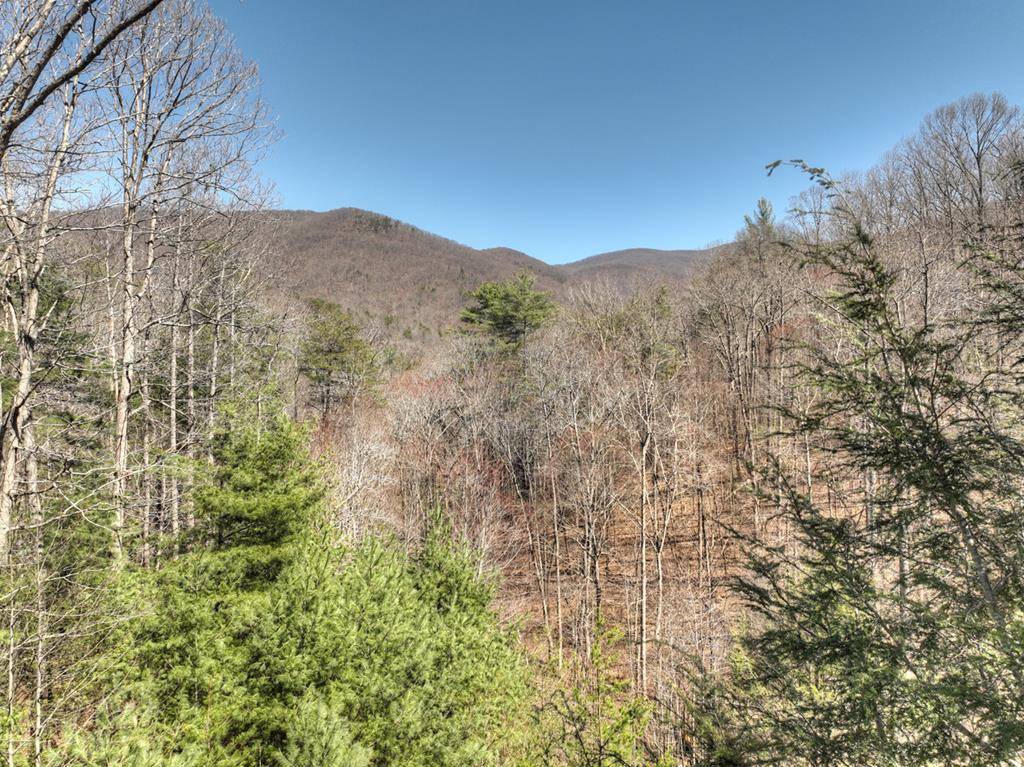 Ellijay, GA 30536,Lot 18 Wilderness Way