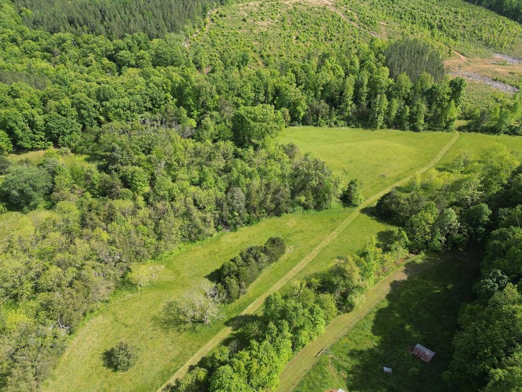 Esmont, VA 22937,Hog Creek Lane