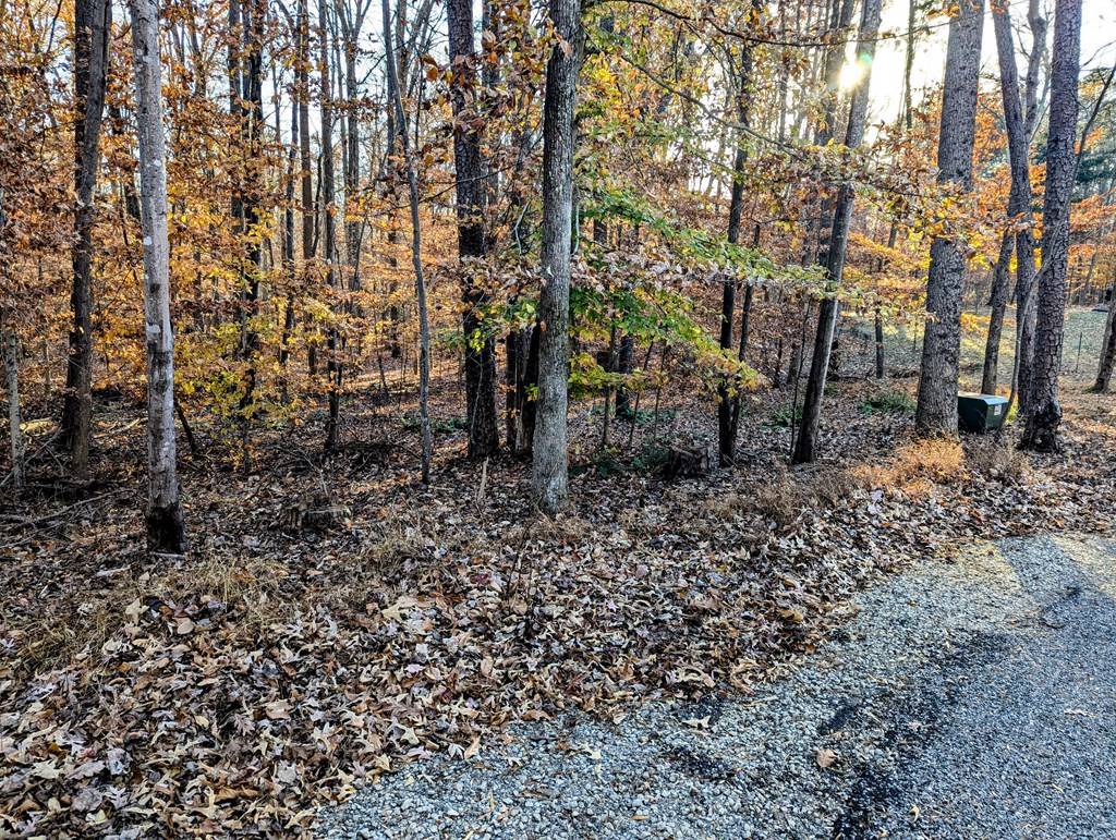 Clarksville, VA 23927,Carriage Lane