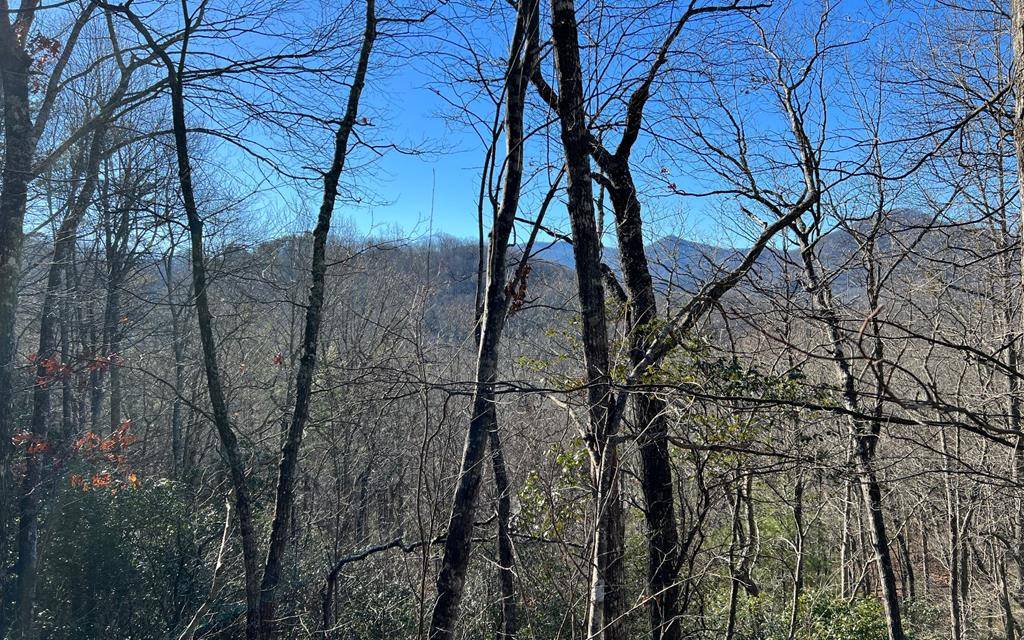 Hiawassee, GA 30546,Lot 33 Fodder Creek Mill Drive