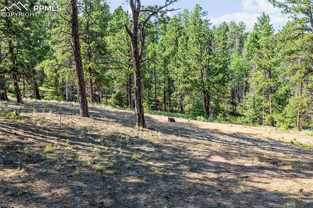 Florissant, CO 80816,464 Hidden PT