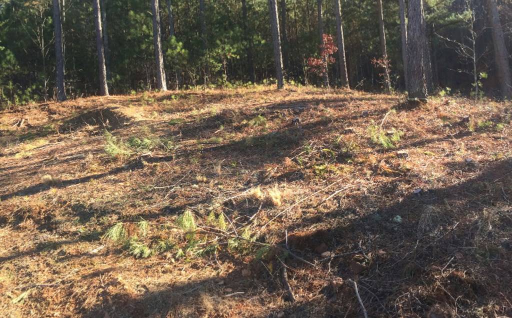 Blairsville, GA 30512,lot 38 Loftis Mountain
